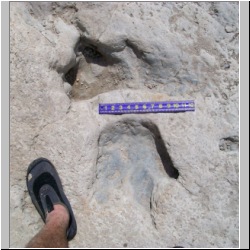 100_0512 (2009-26-07)m.JPG